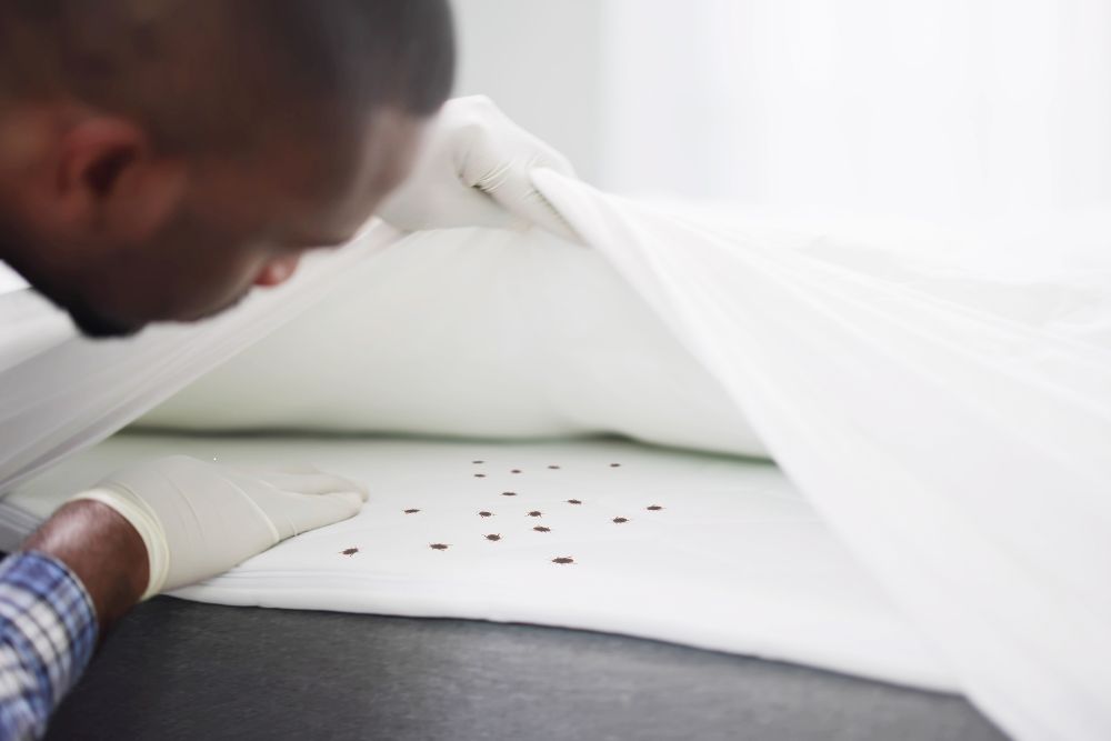 A man in gloves is applying a sheet to a bed for pest control, focusing on bed bugs in Austin, TX.